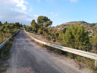 Torresena von Renna