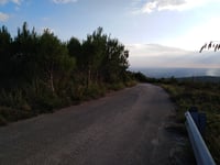 Torresena von Renna