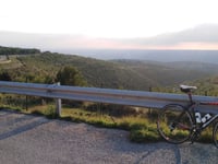 Torresena von Renna