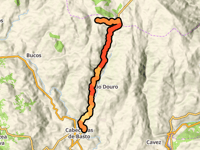 Torrinheiras da Cabeceiras de Basto