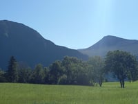 Torvika von Torvikeidet
