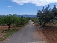 Tossal Roig desde El Terrer Blanc