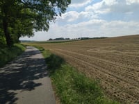 Totenhügel über Delsenweg