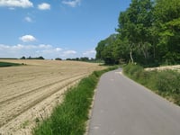 Totenhügel über Delsenweg