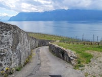 Tour de Gourze desde Cully