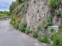 Tour de Gourze desde Cully