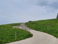 Tour de Gourze desde Cully