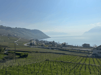 Tour de Gourze depuis Cully