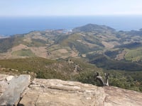 Tour Madeloc from Collioure via D86