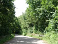 Trankgasse von Boich
