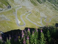 Transfăgărășan von Cârtișoara