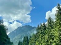 Transfăgărășan von Cârtișoara