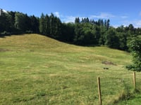 Trasenster von Fraipont