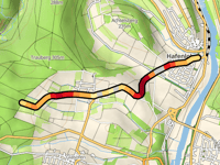 Trauerwald von Hafenlohr