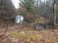 Trehøje Bakke from Abildå
