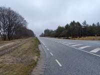 Trehøje Bakke da Ørnhøj