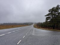 Trehøje Bakke da Ørnhøj