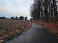Treppkesweg über Köhlerberg