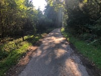 Treppkesweg via Köhlerberg