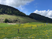 Très le Mont von Lullin