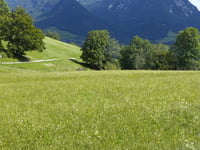 Tressensattel von Grundlsee