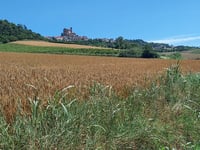 Treville from Ex Fonte Sulfurea di Treville