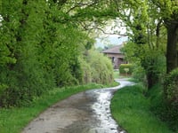 Auf der Trift da Berzbuir