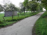 Auf der Trift da Berzbuir