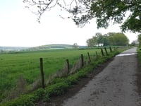 Auf der Trift da Berzbuir