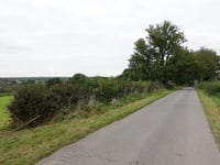 Triftweg