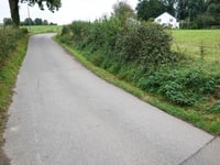 Triftweg