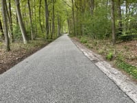 Burgemeester Honcooplaan from Wapenveld