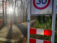 Burgemeester Honcooplaan from Wapenveld