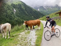 Gschnitztal von Steinach am Brenner