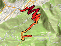 Trivigno z Tirano
