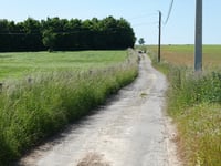Trix des Moines