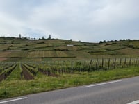 Trois Epis from Ammerschwihr