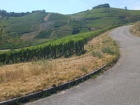 Trois Epis z Turckheim przez Col du Brand