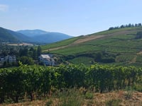 Trois Epis z Turckheim przez Col du Brand