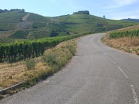 Trois Epis z Turckheim przez Col du Brand