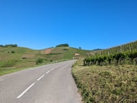 Trois Epis da Turckheim via Col du Brand