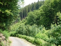 Trois Frontières via Schelsbaach