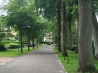 Trompenberg über Bussumergrintweg