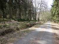 Côte des Sangliers / Trou Malbrouk da Lac de la Gileppe