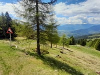 Tschiernockstrasse von Treffling