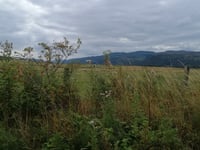 Tulliemet Road da Ballinluig
