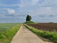 Tumulus Bortombe von Walsbets