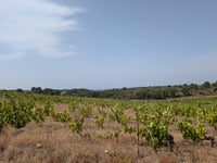 Turó de Pardells from Pas de la Casa de Baix