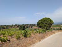 Turó de Pardells from Pas de la Casa de Baix