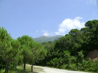 Turó de l'Home da Sant Celoni